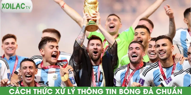 cach-thuc-xu-ly-thong-tin-bong-da-chuan