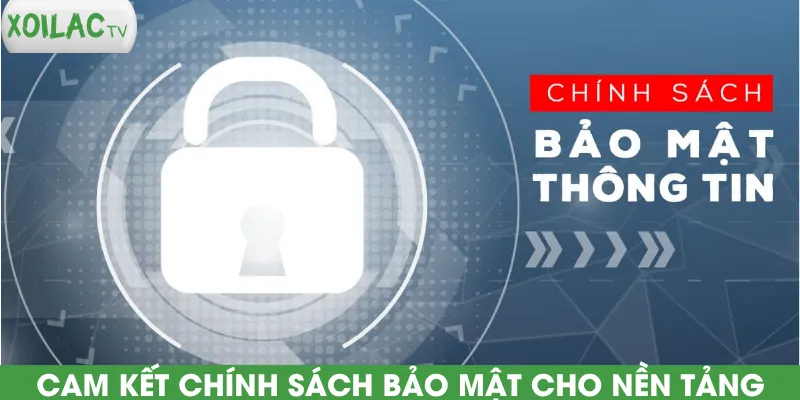 cam-ket-chinh-sach-bao-mat-cho-nen-tang