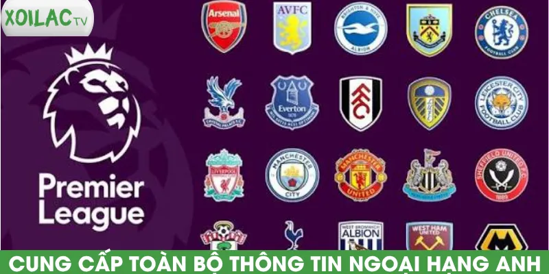 cung-cap-toan-bo-thong-tin-ngoai-hang-anh