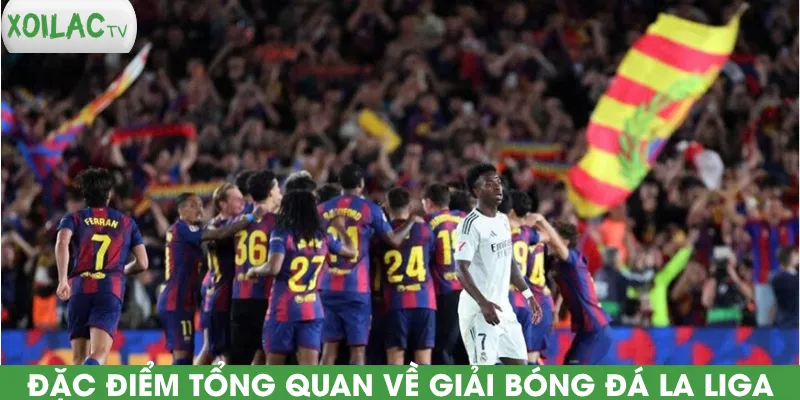 dac-diem-tong-quan-ve-giai-bong-da-la-liga