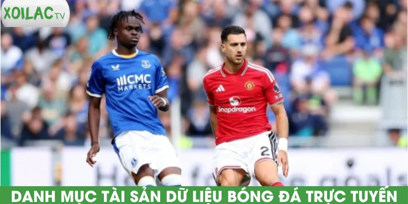 danh-muc-tai-san-du-lieu-bong-da-truc-tuyen