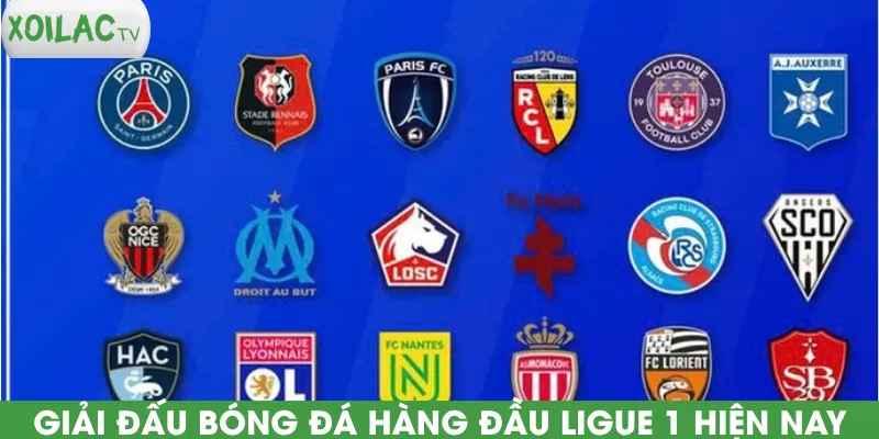 giai-dau-bong-da-hang-dau-ligue-1-hien-nay