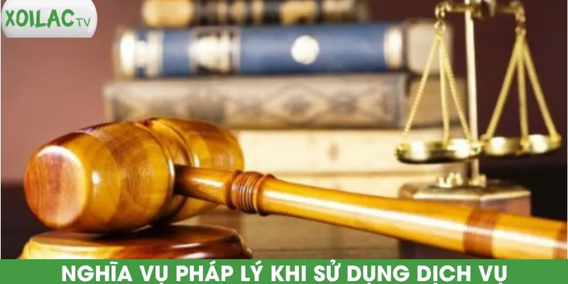 nghia-vu-phap-ly-khi-su-dung-dich-vu