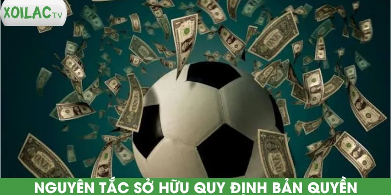 nguyen-tac-so-huu-quy-dinh-ban-quyen