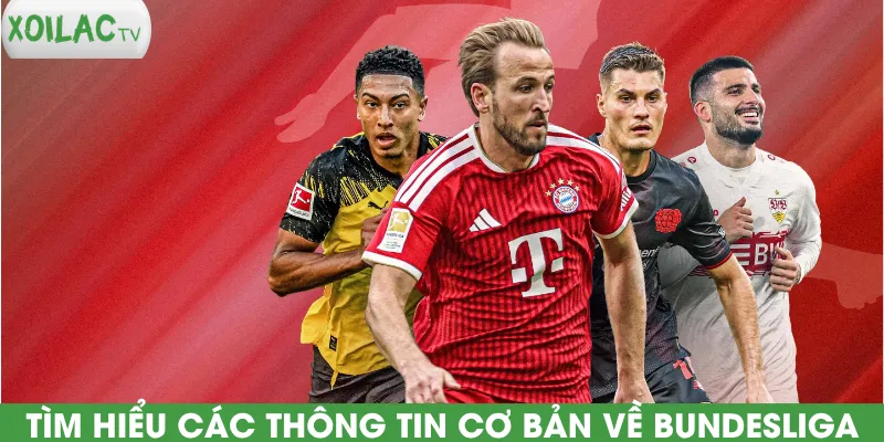 tim-hieu-cac-thong-tin-co-ban-ve-bundesliga
